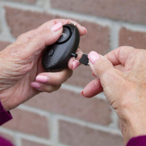 Personal Alarm Key chain